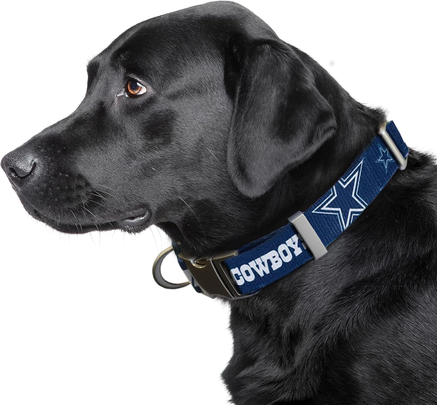NFL Unisex-Adult Premium Pet Collar | Durable All Metal Collar