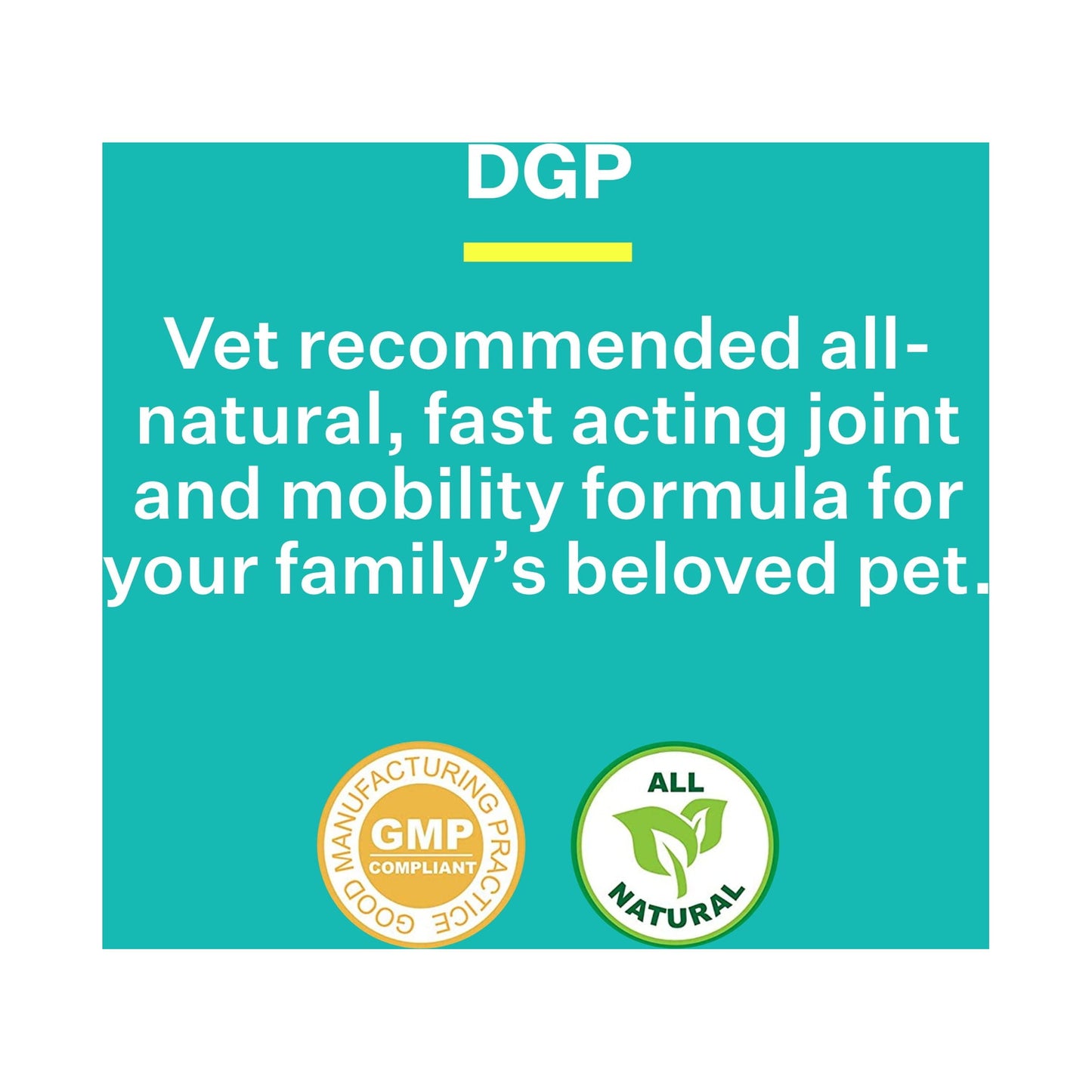 DGP, Joint Supplement for Dogs - Joint Support with Turmeric, Boswellia Extract & More - Quick Effect for Immediate Mobility Support - 60 All-Natural Chewable Pet Tablets (2 Pack)