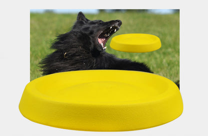 Pet Dogs Throwing Plastic Toy