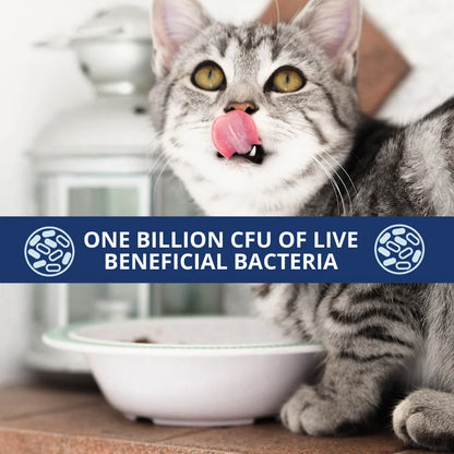 Probiotic Powder for Cats – Vet-Formulated Digestive Support