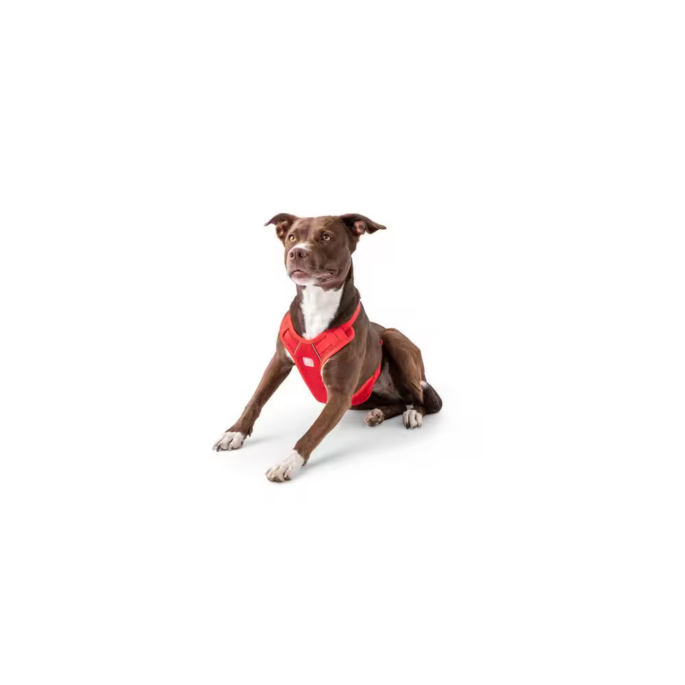 Medium Red Pet Travel Harness