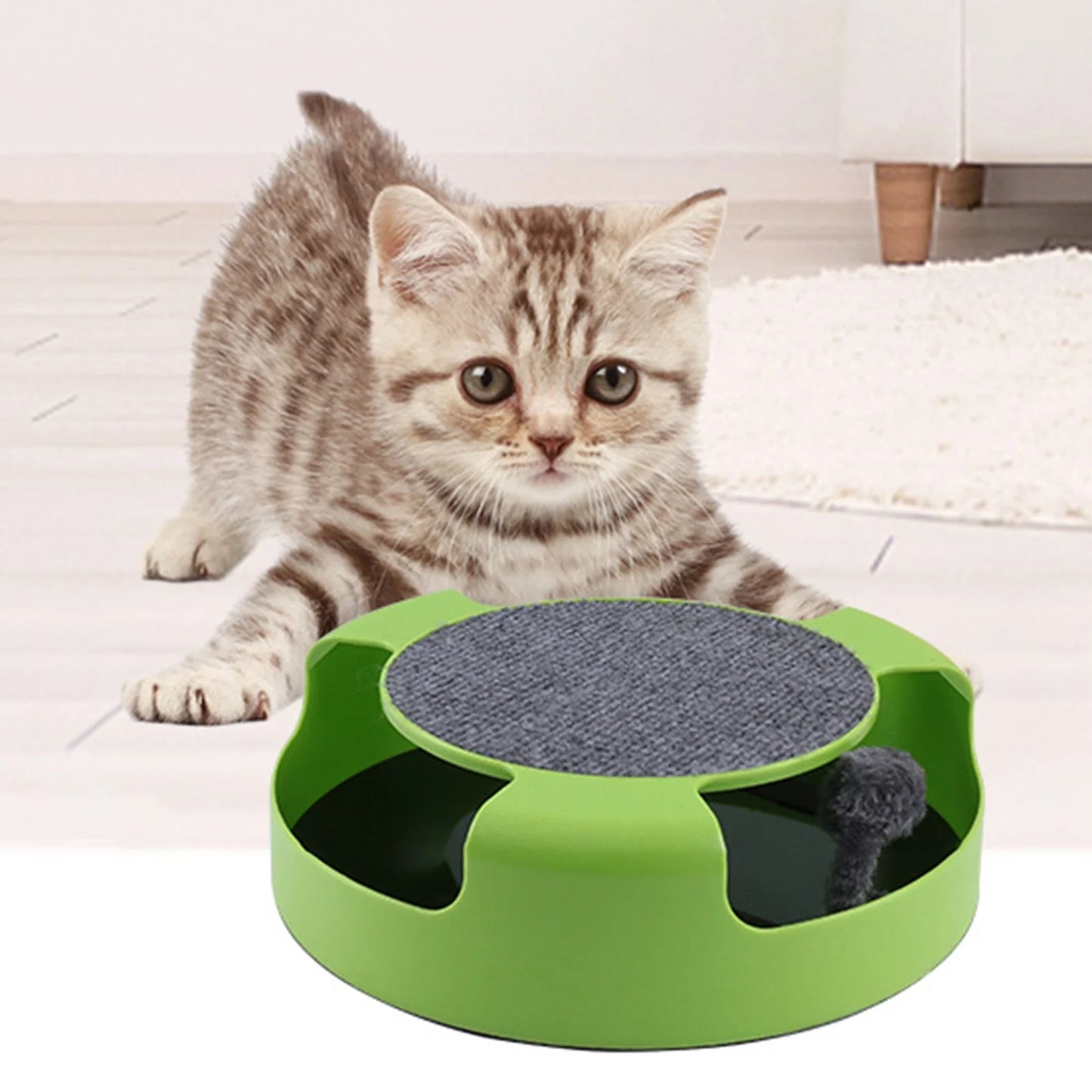 Interactive Mouse Scratch Pad – Bite-Resistant & Fun Catch Toy for Kittens