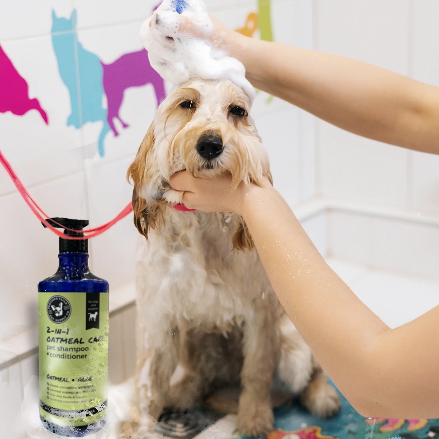 2 in 1 Pet Shampoo and Conditioner with Oatmeal Aloe Vera Cucumber 1000Ml