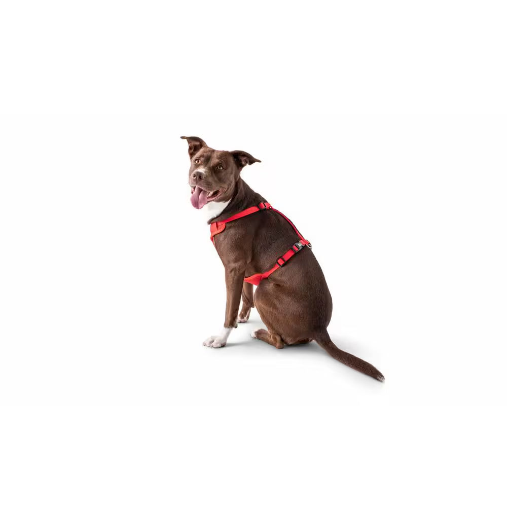 Medium Red Pet Travel Harness