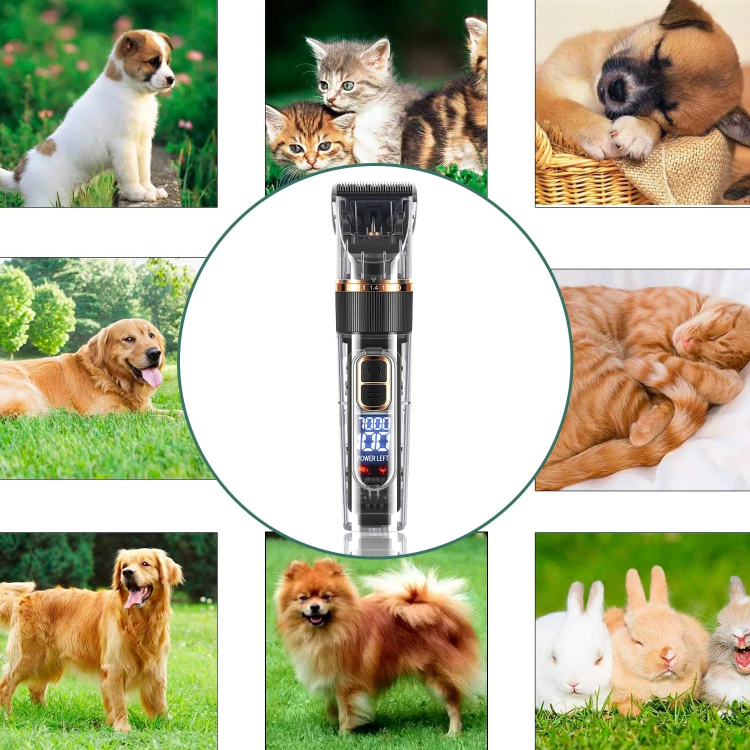 Corldess Pet Hair Clippers – Silent & Powerful Grooming Tool for Dogs & Pets