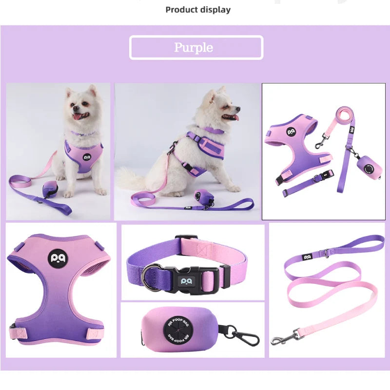 Breathable Pet Harness & Leash – Comfortable Walking Gear for Dogs & Cats