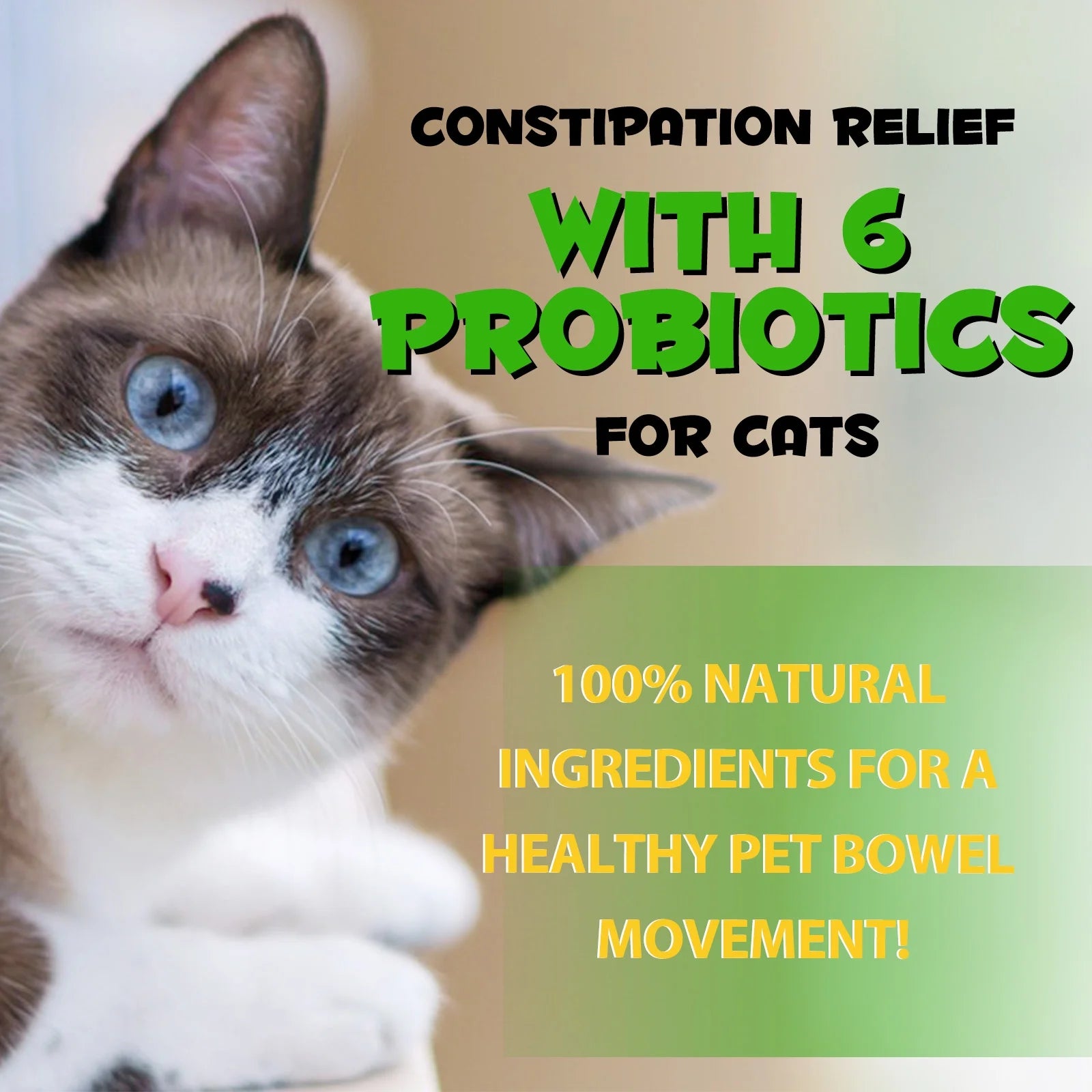 Cat Constipation Relief Drops – Natural Digestive Support with 6 Probiotics, 2oz