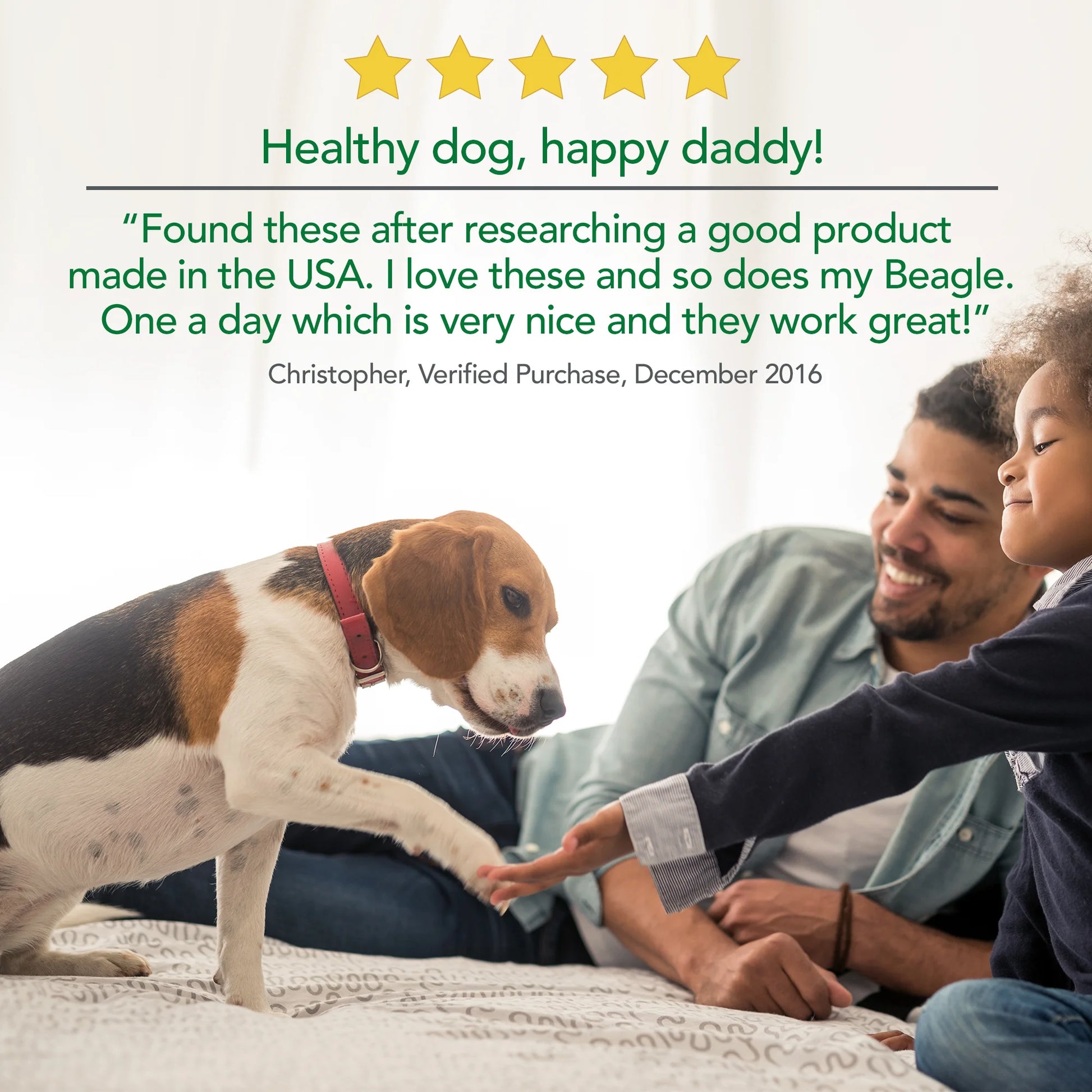 Digestive Health Probiotic Soft Chews for Dogs 4.2 Oz.