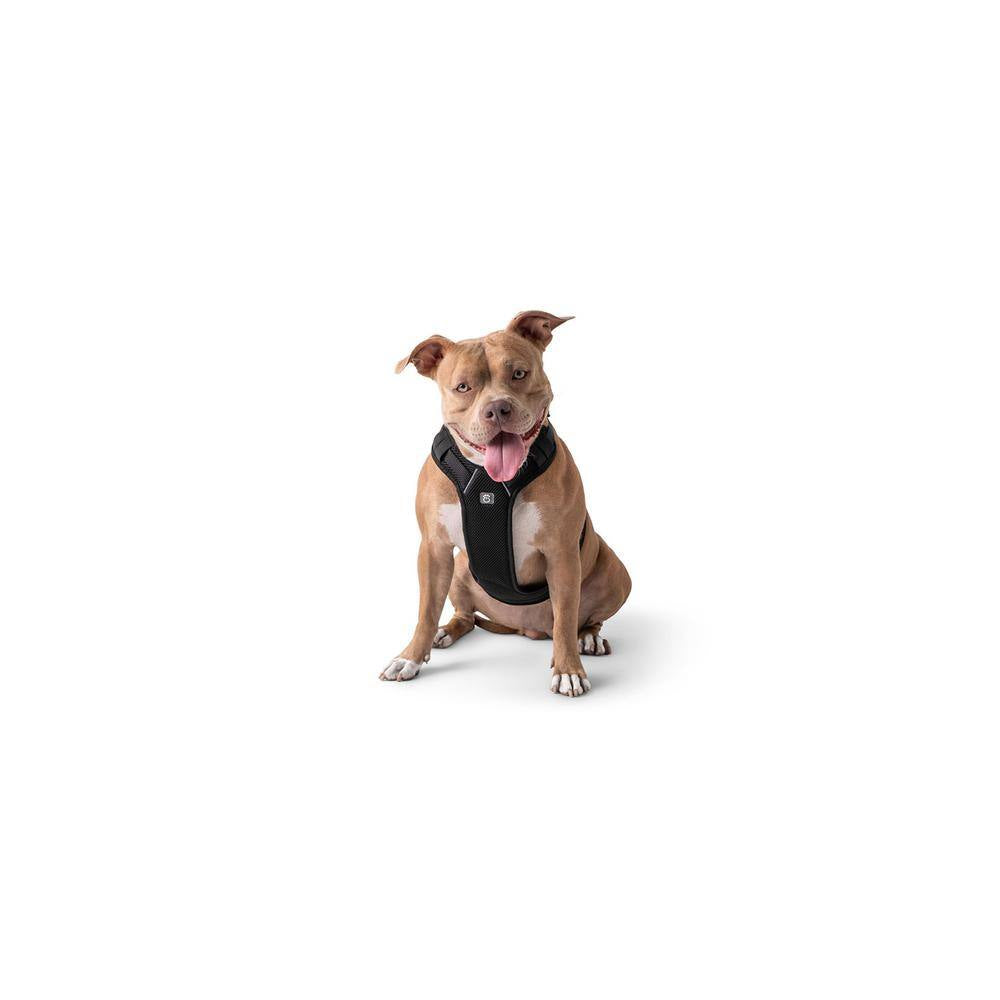 Large Black Pet Travel Harness