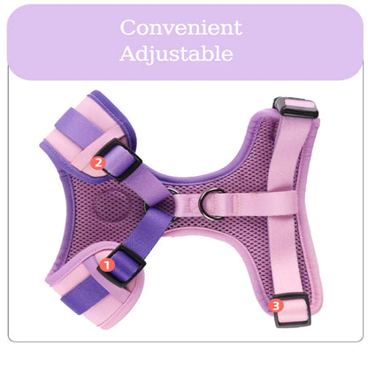 Breathable Pet Harness & Leash – Comfortable Walking Gear for Dogs & Cats