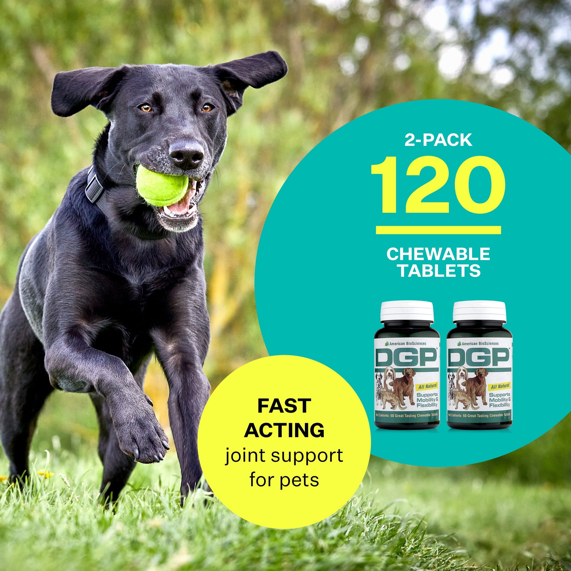 DGP, Joint Supplement for Dogs - Joint Support with Turmeric, Boswellia Extract & More - Quick Effect for Immediate Mobility Support - 60 All-Natural Chewable Pet Tablets (2 Pack)