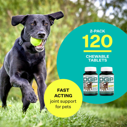 DGP, Joint Supplement for Dogs - Joint Support with Turmeric, Boswellia Extract & More - Quick Effect for Immediate Mobility Support - 60 All-Natural Chewable Pet Tablets (2 Pack)
