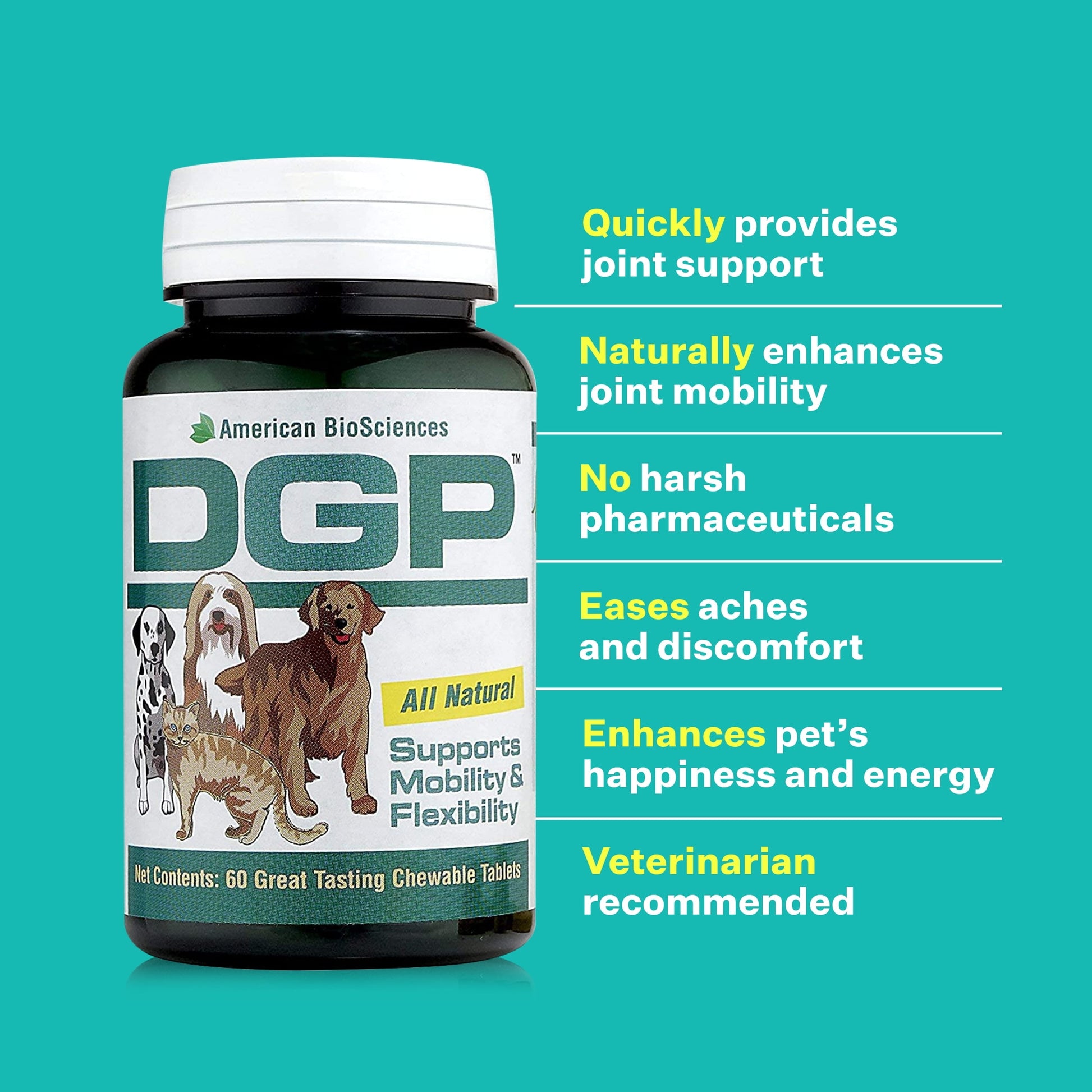 DGP, Joint Supplement for Dogs - Joint Support with Turmeric, Boswellia Extract & More - Quick Effect for Immediate Mobility Support - 60 All-Natural Chewable Pet Tablets (2 Pack)