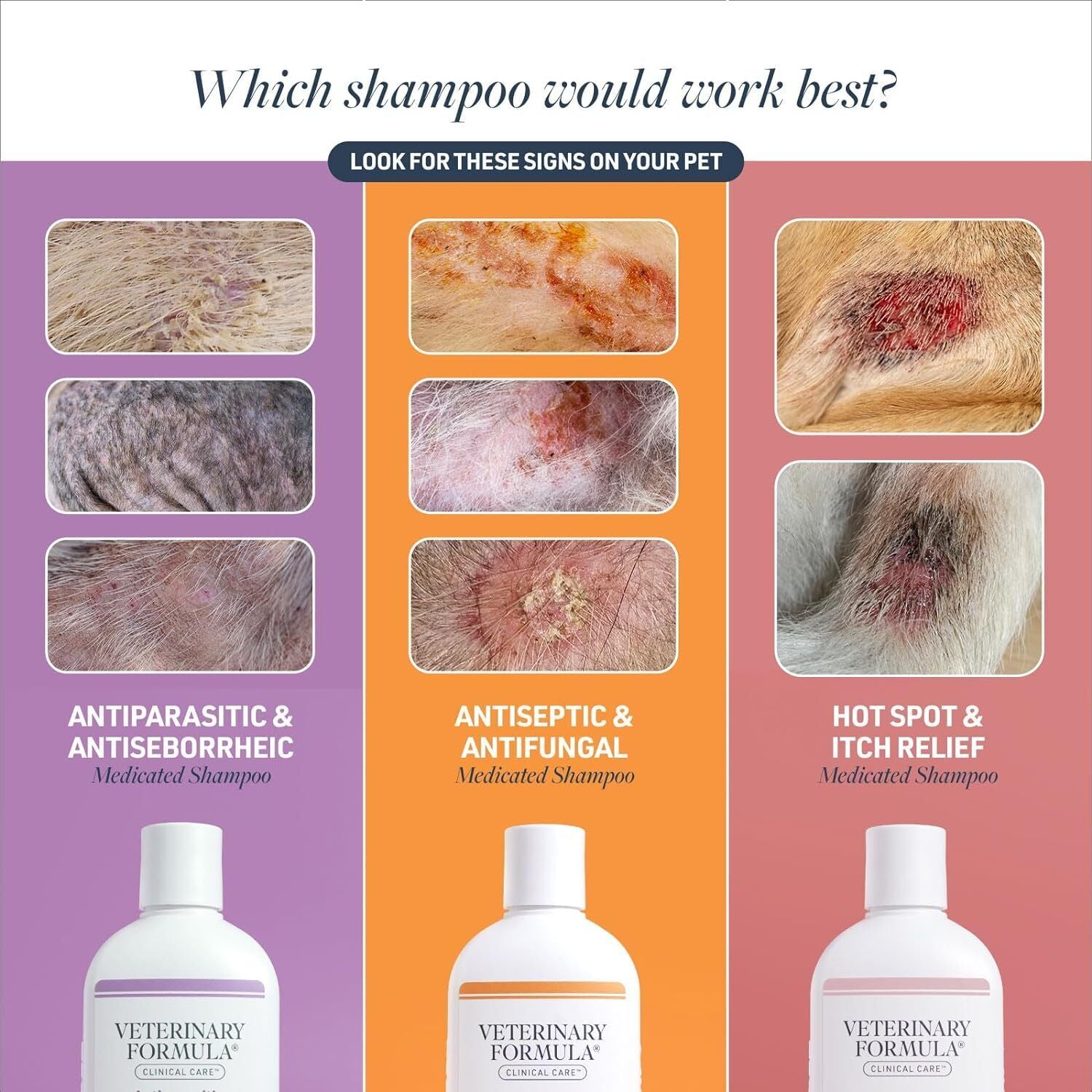 Veterinary Formula Clinical Care Antiseptic and Antifungal Medicated Shampoo Dogs & Cats