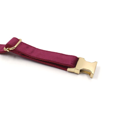 Premium Soft Burgundy Velvet Dog & Cat Collar