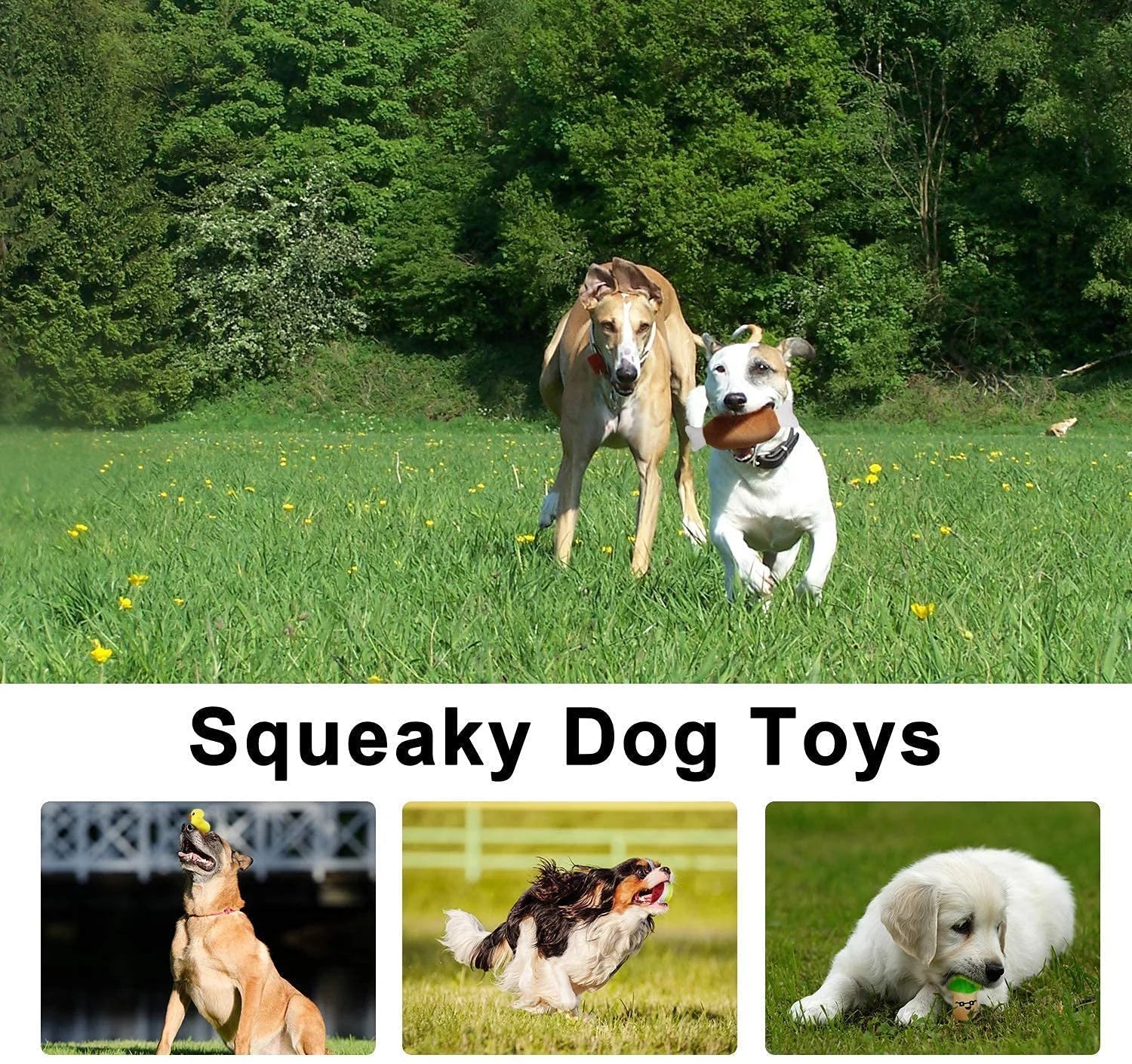 14-Pack Squeaky Pet Toy Set – Plush Fruits, Snacks & Veggies for Small & Medium Pets