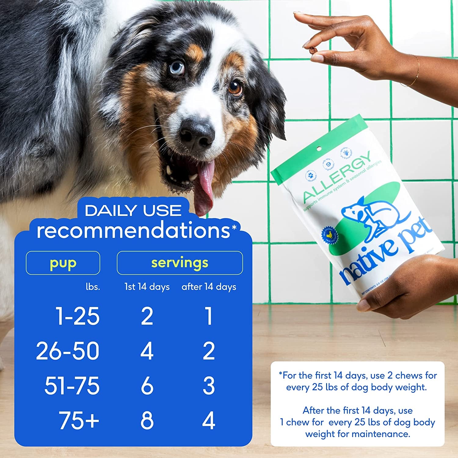 Native Pet Allergy Chews for Dogs | Natural Skin Allergy Relief - 30 Chews