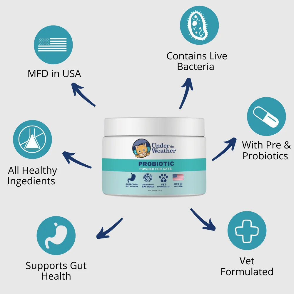 Probiotic Powder for Cats – Vet-Formulated Digestive Support