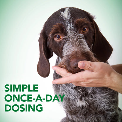 Digestive Health Probiotic Soft Chews for Dogs 4.2 Oz.