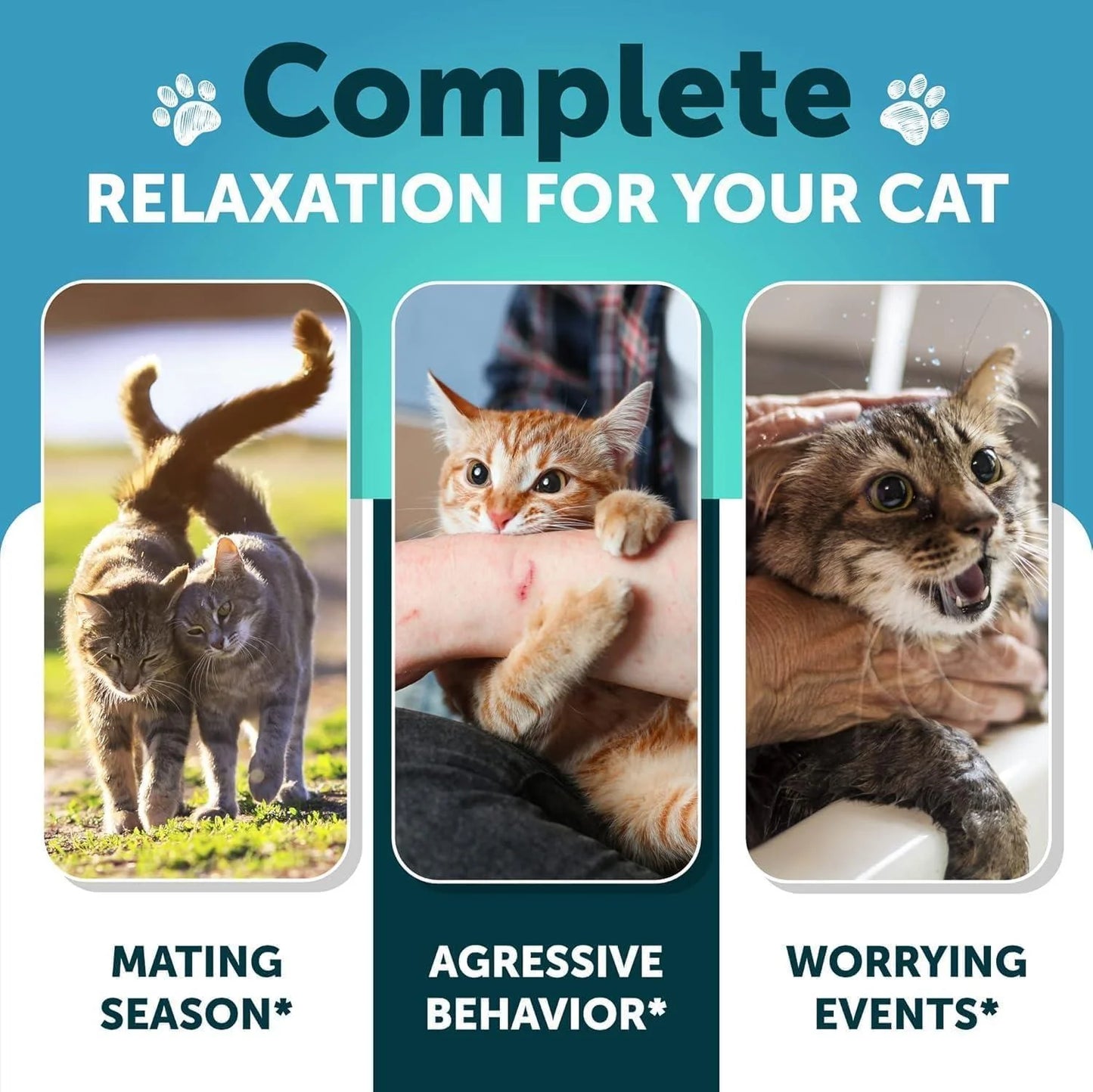 Hemp Calming Treats for Cats & Kittens – Stress & Anxiety Relief with Melatonin