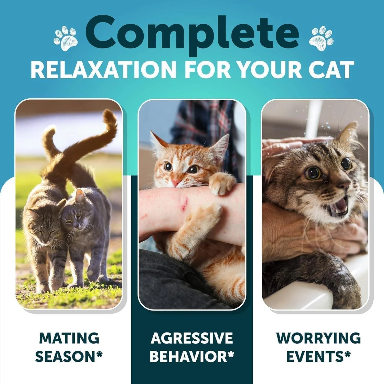 Hemp Calming Treats for Cats & Kittens – Stress & Anxiety Relief with Melatonin