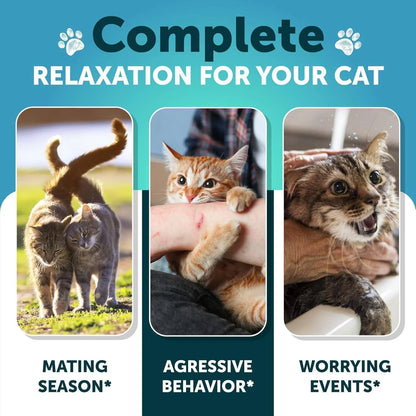 Hemp Calming Treats for Cats & Kittens – Stress & Anxiety Relief with Melatonin