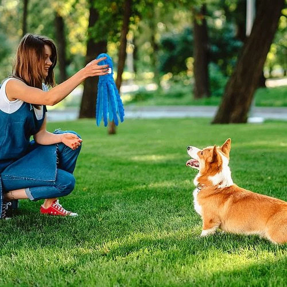 Squeaky Plush Dog Toy – Soft & Interactive Chew Treat for Small to Medium Pets