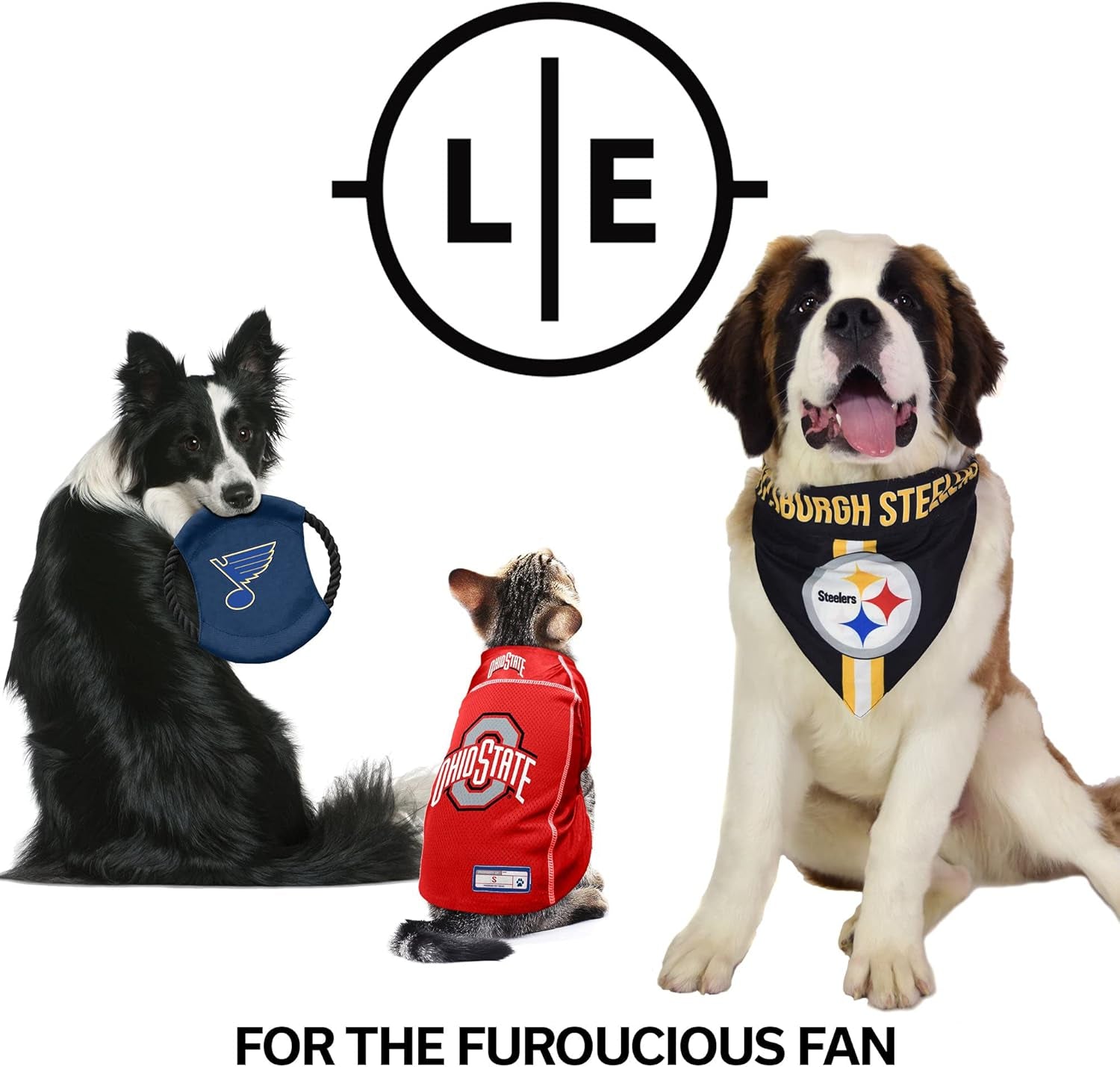 NFL Unisex-Adult Premium Pet Collar | Durable All Metal Collar