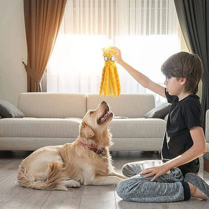 Squeaky Plush Dog Toy – Soft & Interactive Chew Treat for Small to Medium Pets