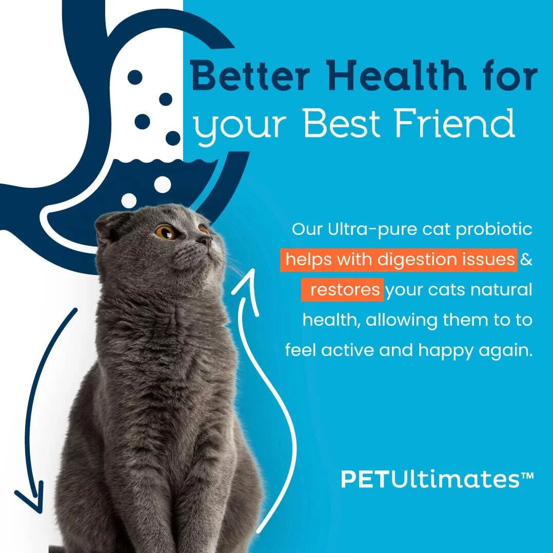 Cat Probiotics Powder with Digestive Enzymes for Cats Digestive Health Supplement 44g