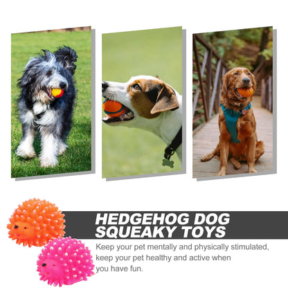 2-Pack Squeaky Hedgehog Dog Toys – Fun Cartoon Latex Chew Set