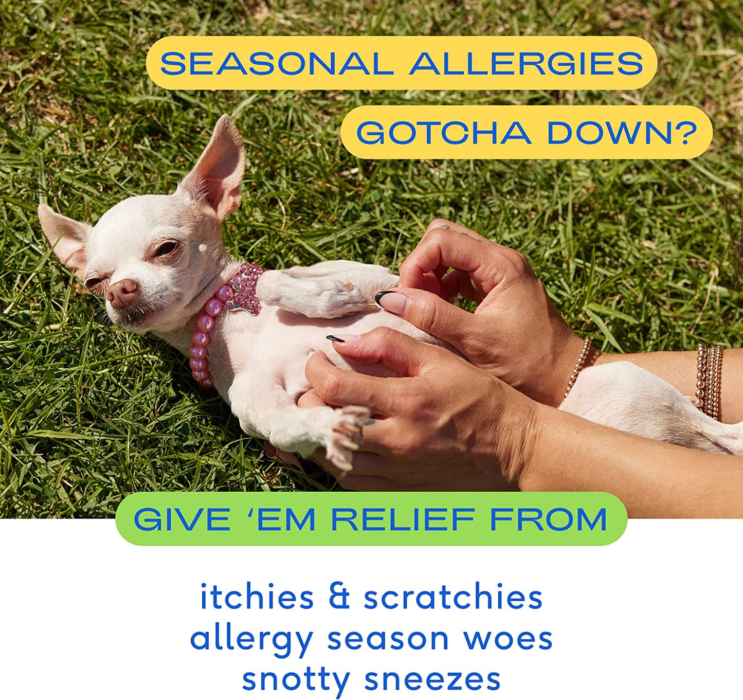 Native Pet Allergy Chews for Dogs | Natural Skin Allergy Relief - 30 Chews