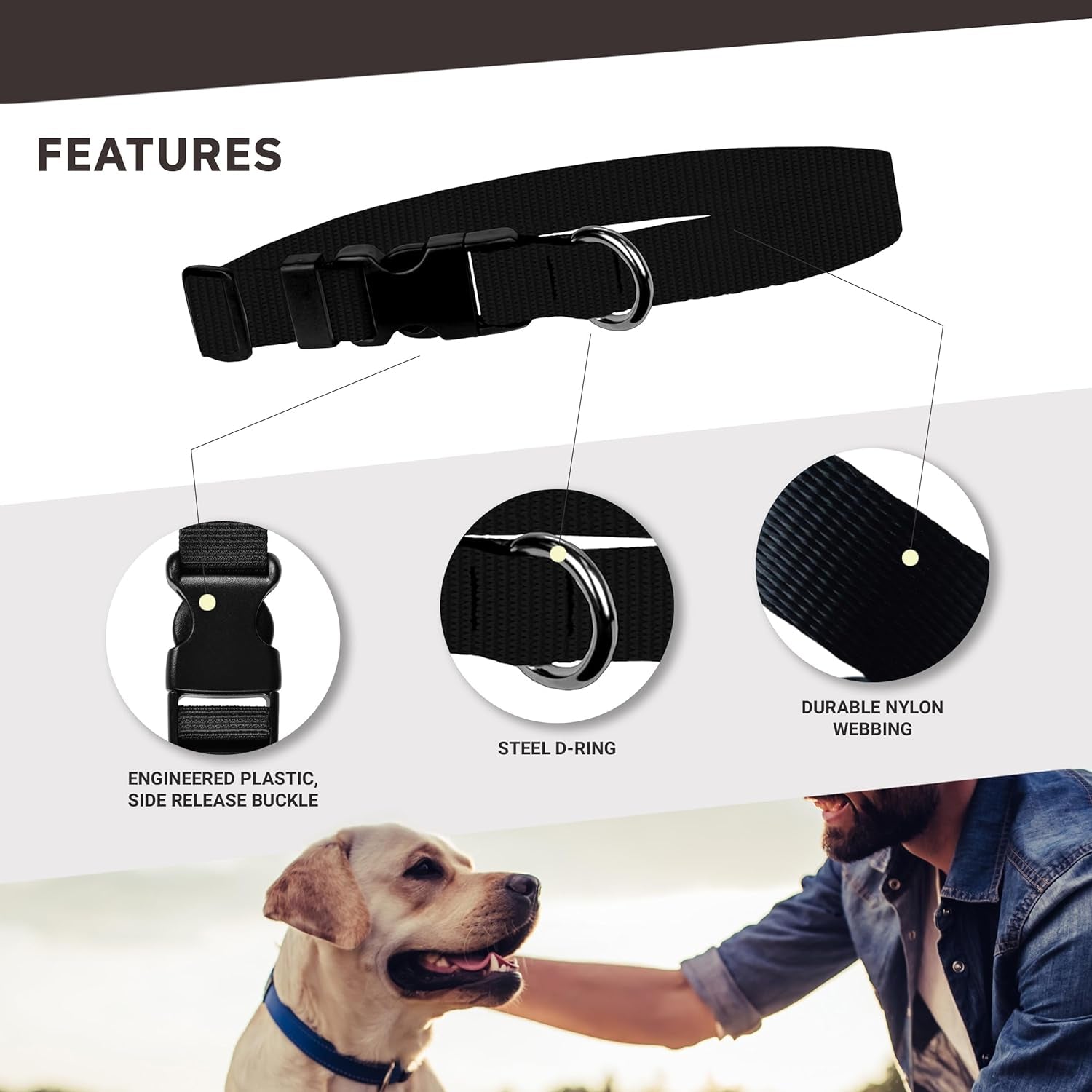 Adjustable Dog Collar – Cute Leopard Print, 3/4" Wide for Small Pets