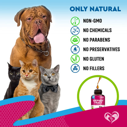 UTI & Bladder Support for Cats & Dogs – Natural Cranberry Kidney Care Drops