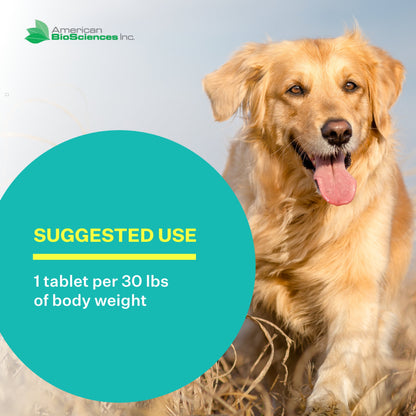 DGP, Joint Supplement for Dogs - Joint Support with Turmeric, Boswellia Extract & More - Quick Effect for Immediate Mobility Support - 60 All-Natural Chewable Pet Tablets (2 Pack)