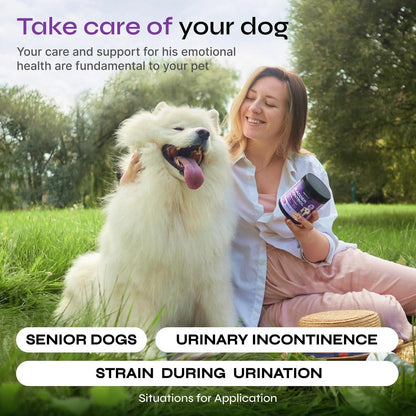 Dog UTI Treatment Bladder Control Chews Dog Cranberry Supplement for Urinary