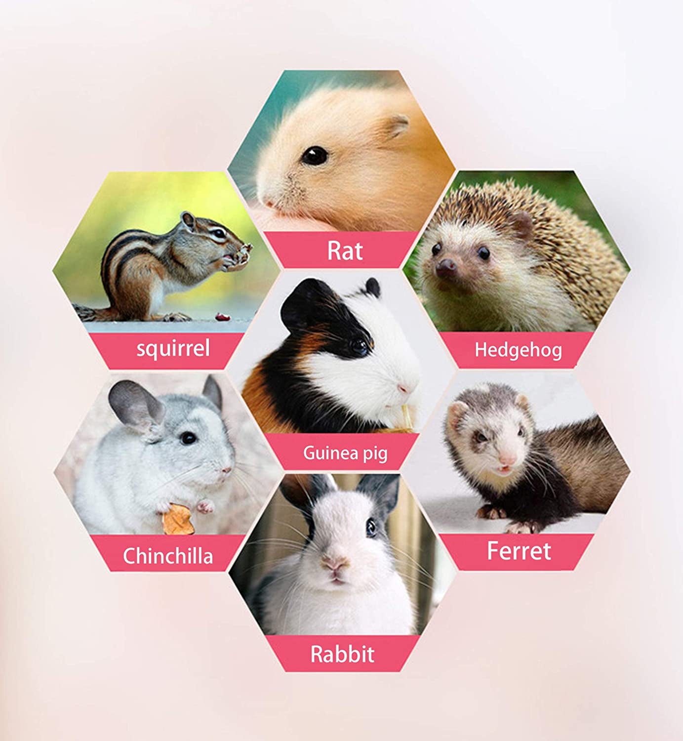 Small Pet Cage Hammock, Hanging Bed for Small Animals Pet Cage Hammock Accessories Bedding for Chinchilla Parrot Sugar Glider Ferrets Rat Hamster Rat Playing Sleeping (Flamingo Update)