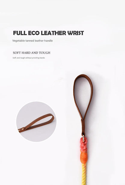 Premium Leather Pet Collar and Leash - Soft, Strong Braided Rope (Navy blue - Size L)