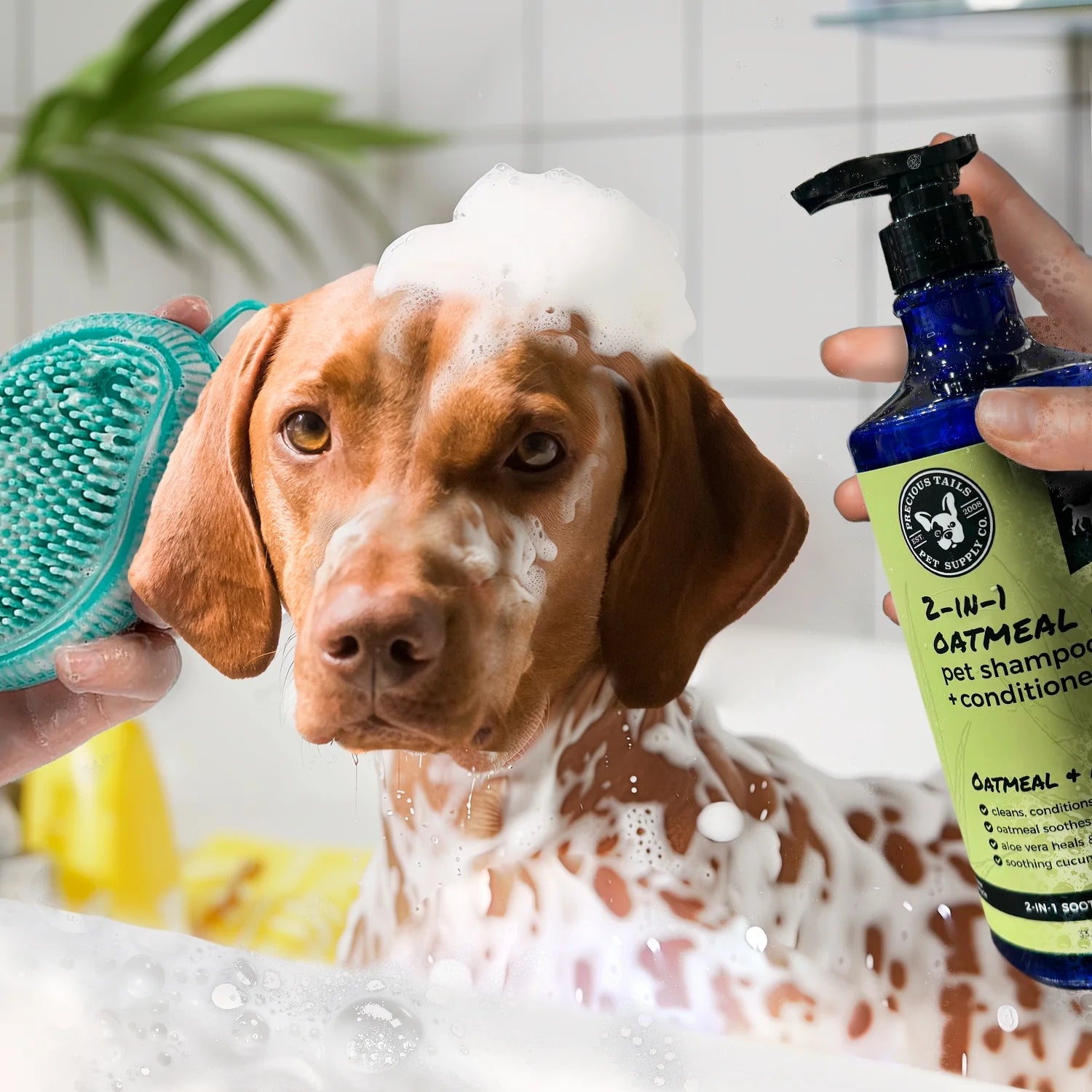2 in 1 Pet Shampoo and Conditioner with Oatmeal Aloe Vera Cucumber 1000Ml