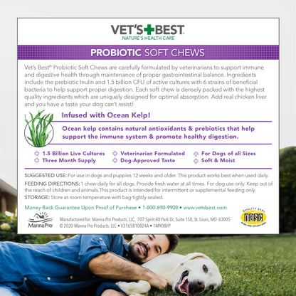 Digestive Health Probiotic Soft Chews for Dogs 4.2 Oz.
