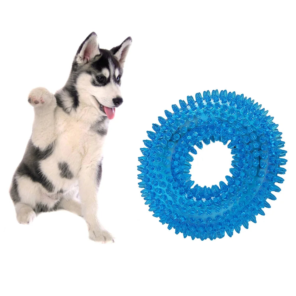 Spiky Squeaky Dog Ring – Durable, Non-Toxic Rubber Chew & Fetch Toy