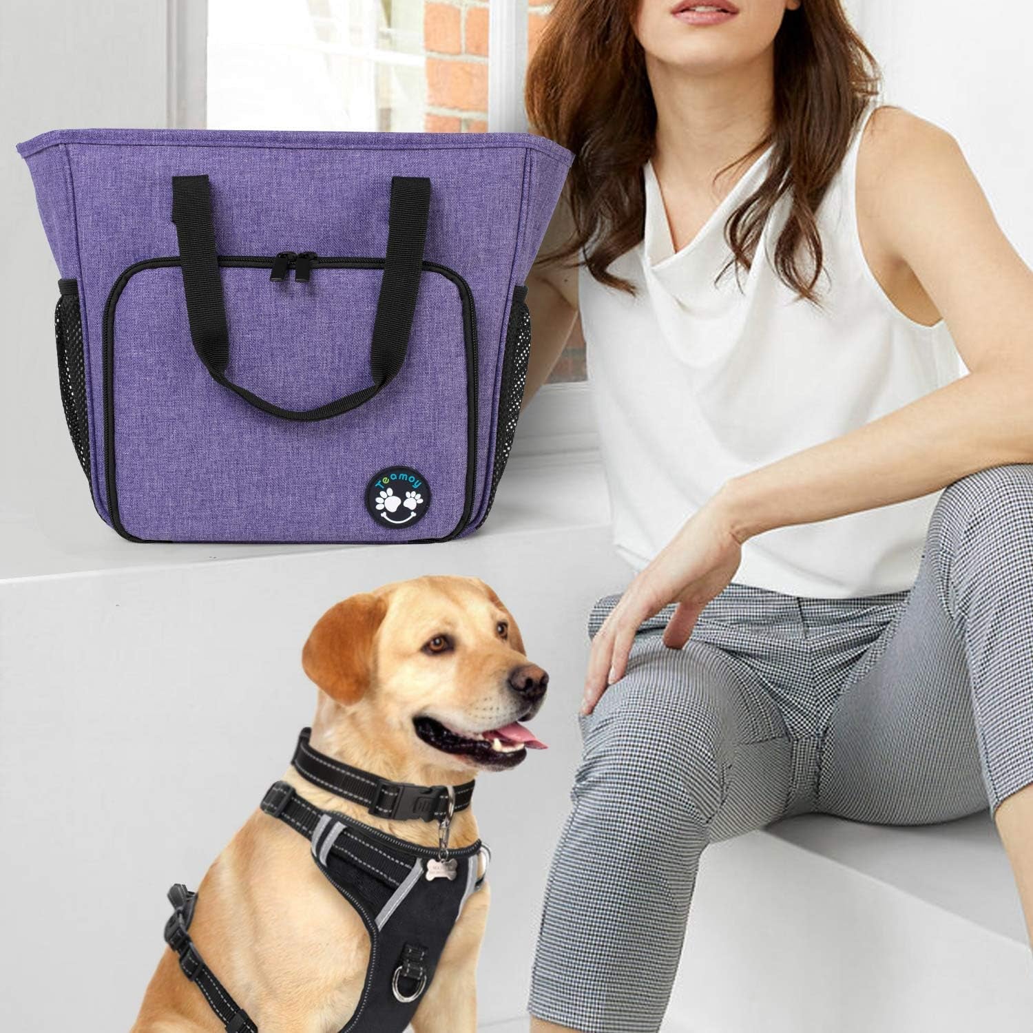 Professional Grooming Organizer – Stylish & Durable Bag for Pet Supplies