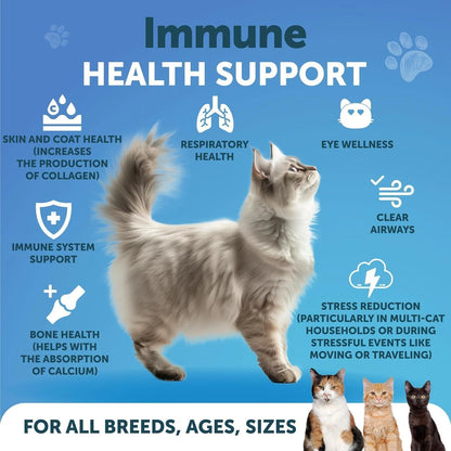 L-Lysine Powder for Cats – 900mg Immune Support Supplement