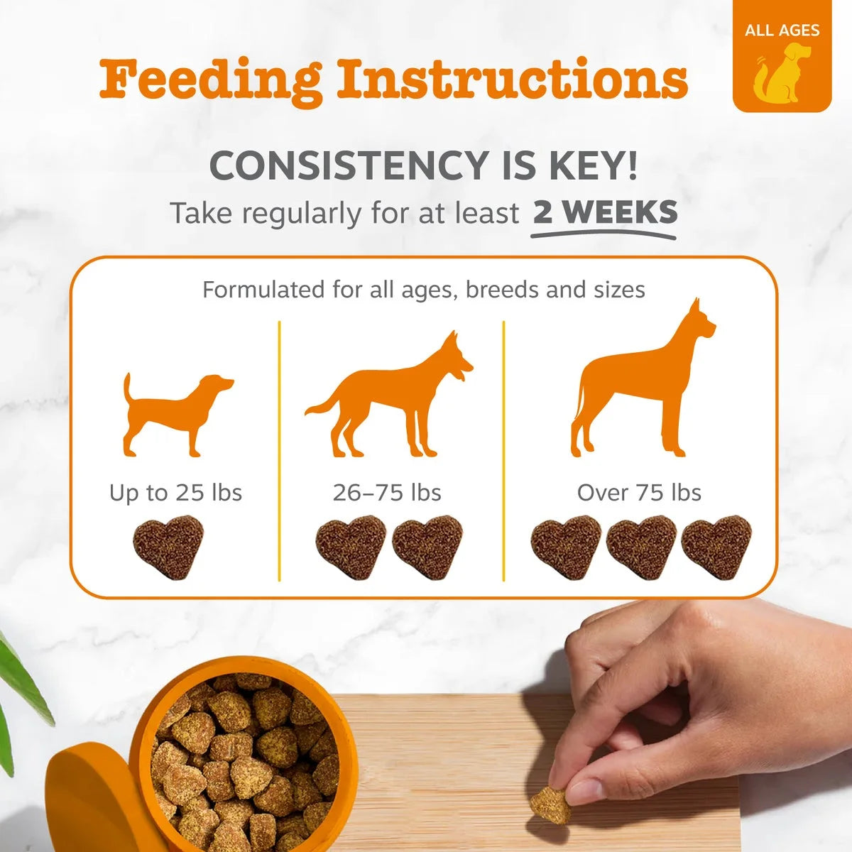 (6 Pack)  Probiotic Bites for Dogs, to Support Gut Health, Pumpkin 60Ct