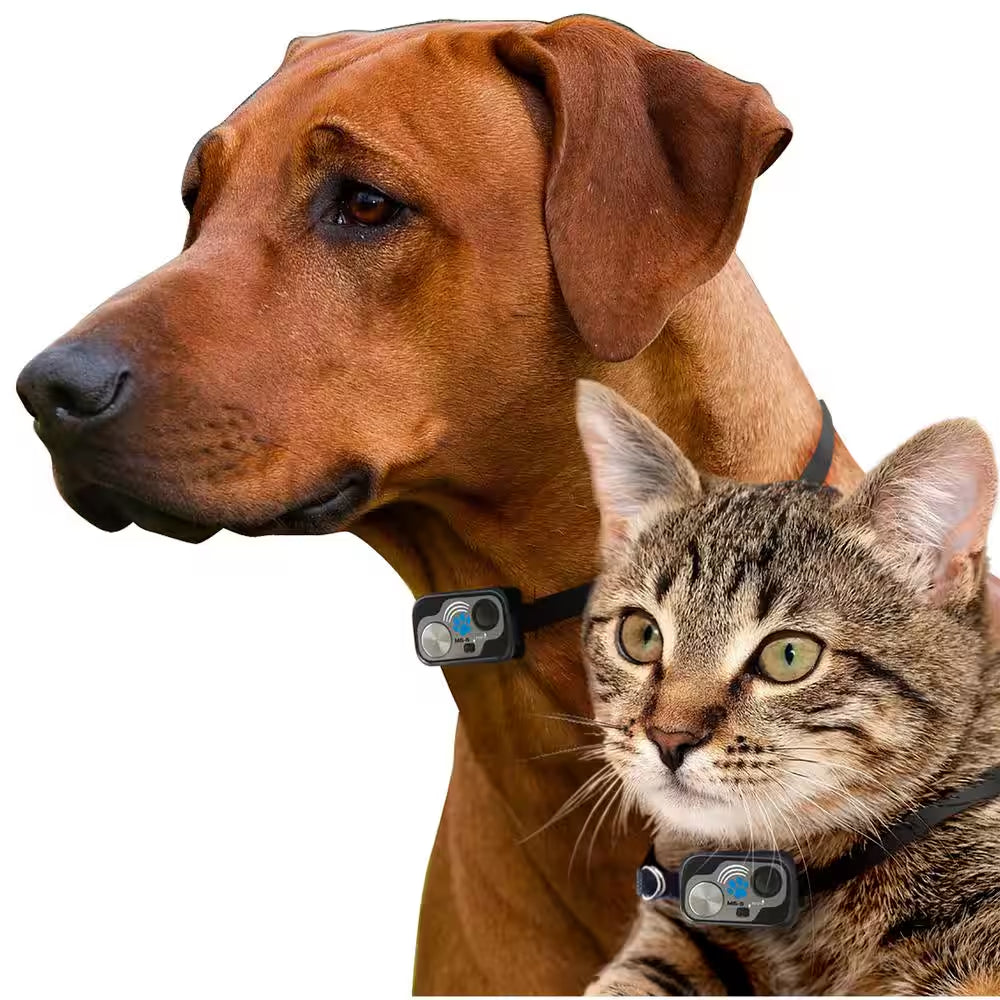 Extra Rugged, Water Resistant Electronic Pet Collar