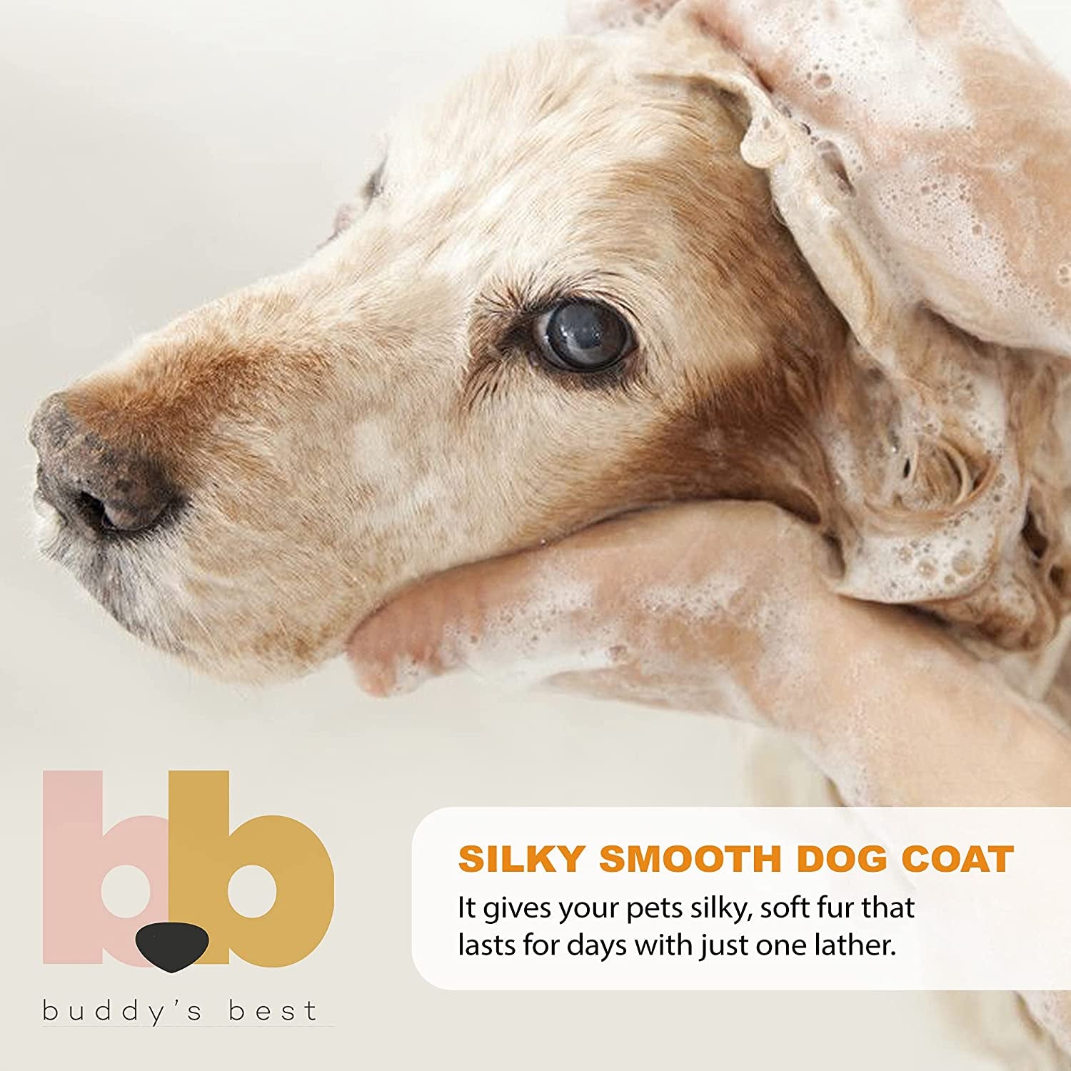 Oatmeal Dog Shampoo & Conditioner – 946ml Gentle Formula for Dry, Sensitive Skin