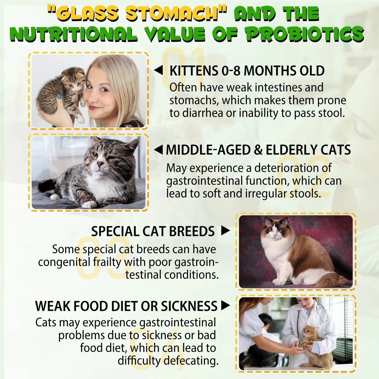 Cat Constipation Relief Drops – Natural Digestive Support with 6 Probiotics, 2oz