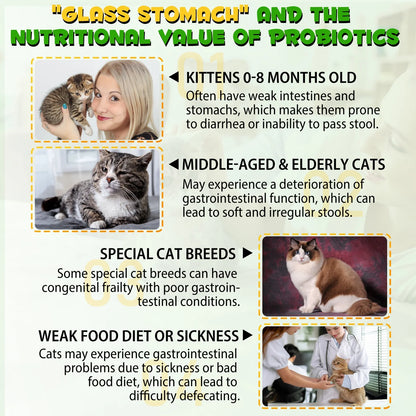 Cat Constipation Relief Drops – Natural Digestive Support with 6 Probiotics, 2oz