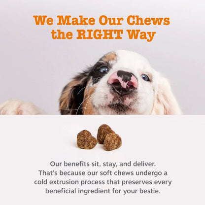 (6 Pack)  Probiotic Bites for Dogs, to Support Gut Health, Pumpkin 60Ct