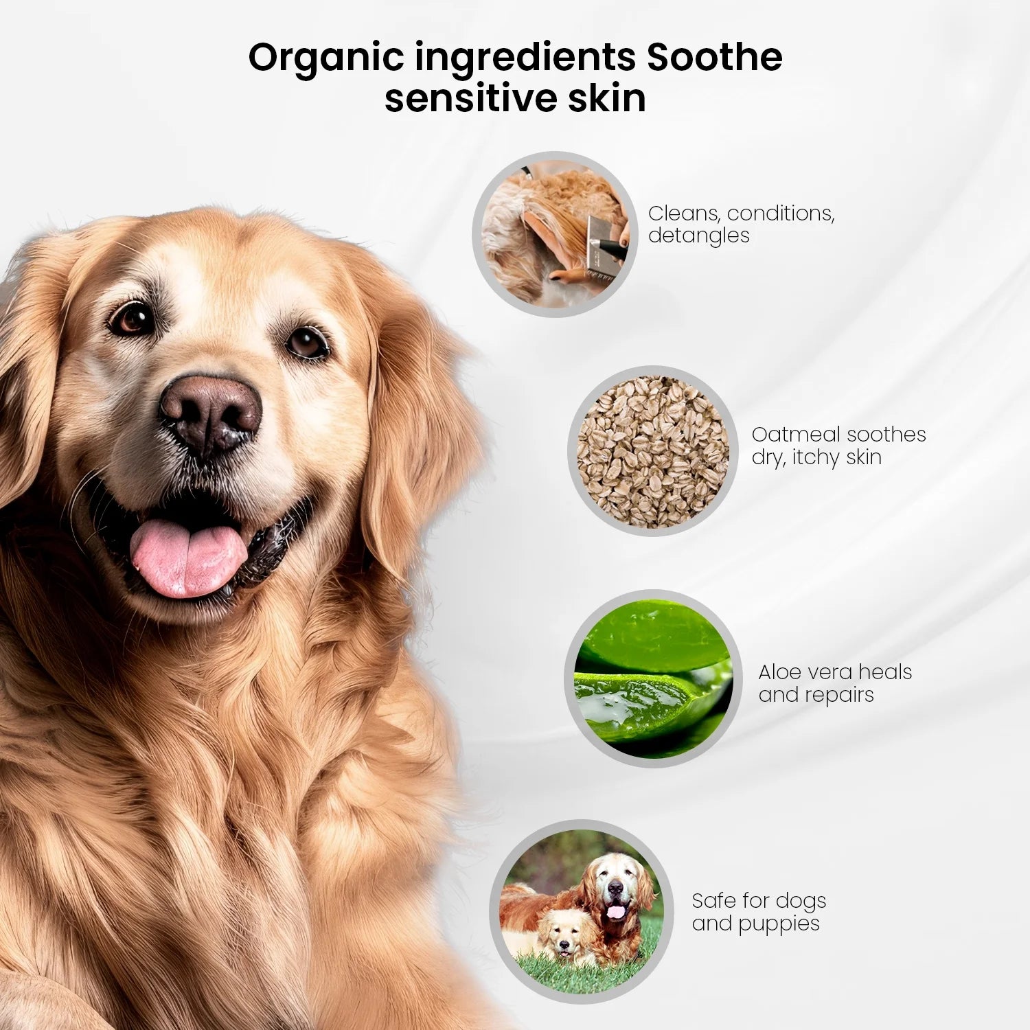 2 in 1 Pet Shampoo and Conditioner with Oatmeal Aloe Vera Cucumber 1000Ml